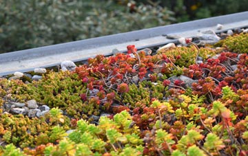 the cost of Shripney green roof installation