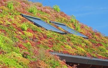 Shripney living roof systems