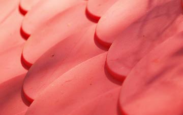 Shripney plastic roof costs