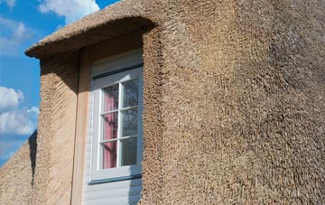 Shripney thatch roof disadvantages