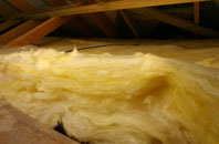 Shripney pitch roof insulation